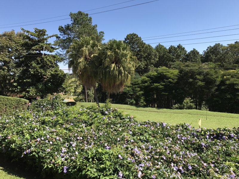 Casa de condomínio à venda Centro com 1500m² e 10 quartos por R$ 600.000 - 1329130425-800x600-1828104377-083.jpeg