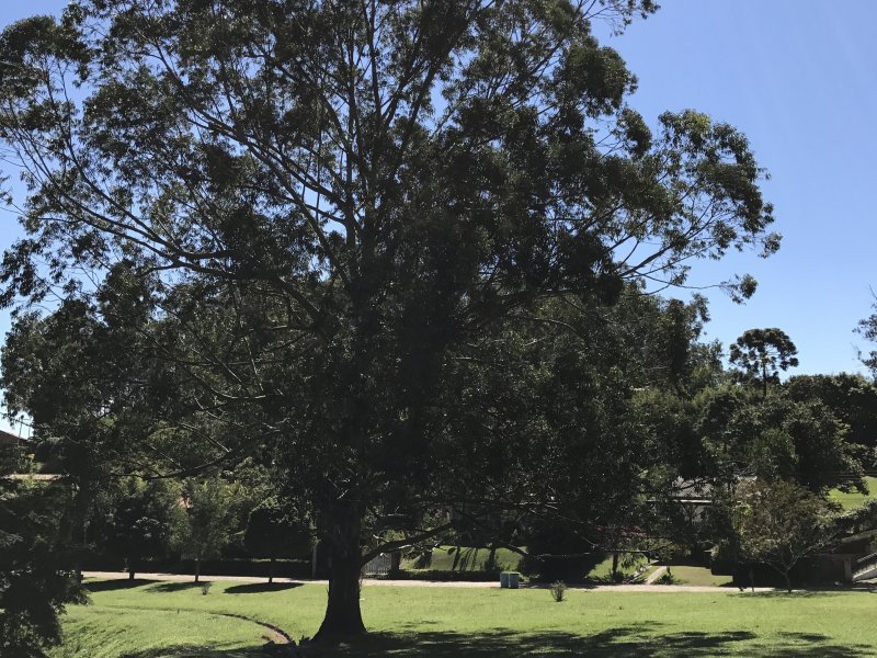 Casa de condomínio à venda Centro com 1500m² e 10 quartos por R$ 600.000 - 250279125-800x600-909990477-077.jpeg