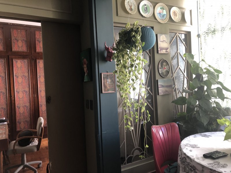 Apartamento à venda Santa Cecília com 87m² e 2 quartos por R$ 870.000 - 270877261-6b5b4248-b100-462e-a20b-fae9f1bc3a8a.jpeg