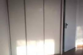 1052123303-57094449-304989393511084-1736051709760765952-n.jpg
