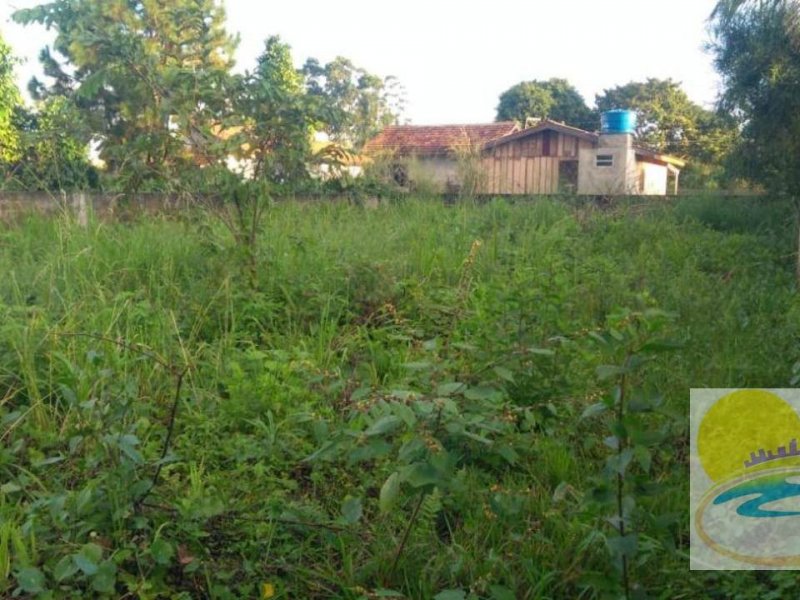 Terreno à venda Centro com 312m² e  quartos por R$ 75.000 - 588455188-foto-2.jpg