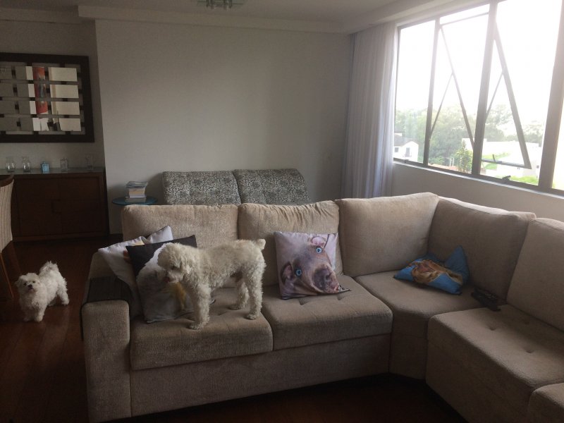 Apartamento à venda Jardim com 125m² e 3 quartos por R$ 550.000 - 1025396792-4fec35d8-db14-4189-ace2-169ab67f7b67.jpeg