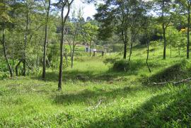Terreno à venda alto da serra com 11280m² - 1 dormitório -  vagas - R$ 950.000 - 1075238122-img-3577.JPG