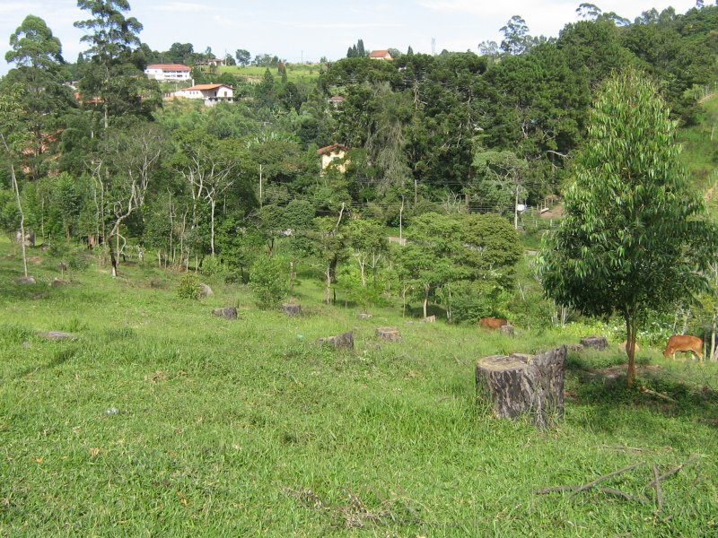 Terreno à venda alto da serra com 11280m² e 1 quarto por R$ 950.000 - 1527888897-img-3553.JPG