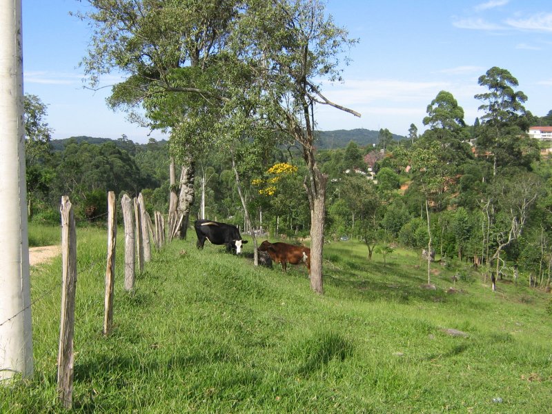 Terreno à venda alto da serra com 11280m² e 1 quarto por R$ 950.000 - 1554412642-img-3551.JPG