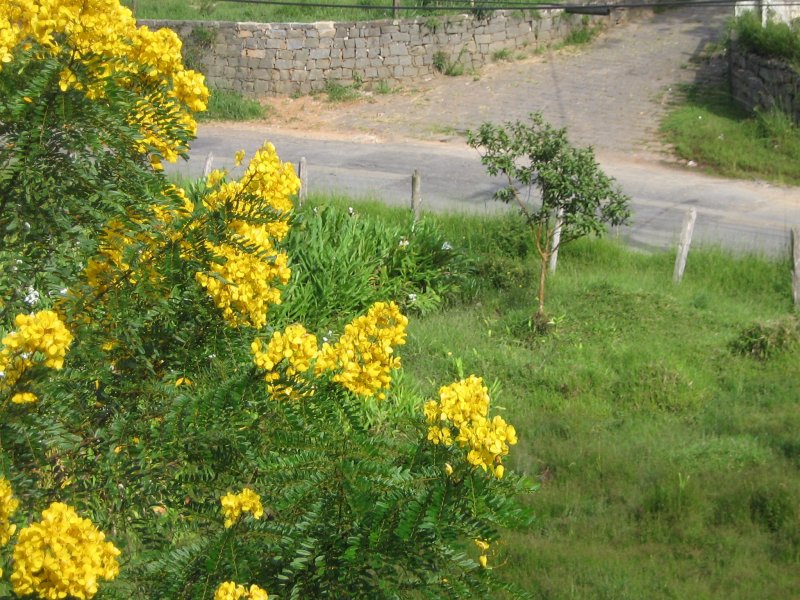 Terreno à venda alto da serra com 11280m² e 1 quarto por R$ 950.000 - 1780461662-img-3565.JPG