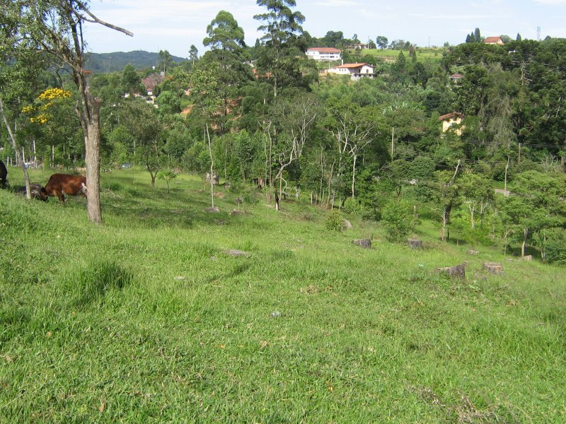 Terreno à venda alto da serra com 11280m² e 1 quarto por R$ 950.000 - 378775582-img-3552.JPG