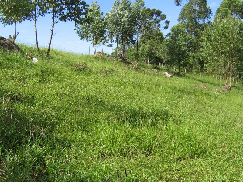 Terreno à venda alto da serra com 11280m² e 1 quarto por R$ 950.000 - 544953612-img-3583.JPG