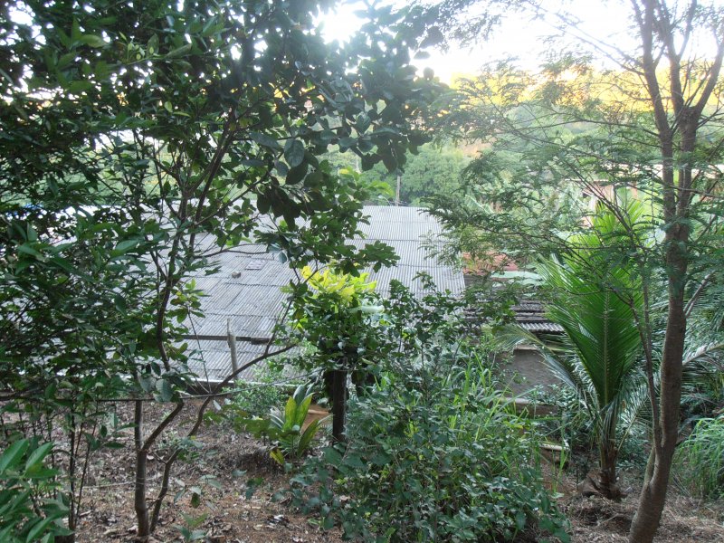 Chácara à venda Novo Horizonte com 1300m² e 2 quartos por R$ 250.000 - 1257675833-p5310019.JPG
