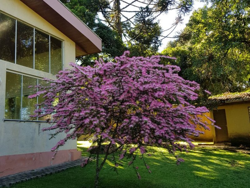 Casa de condomínio à venda Borda do Campo com 750m² e 4 quartos por R$ 1.750.000 - 1293399895-5cfbac90-7aec-4d06-9666-f254a2c2b92c.jpg