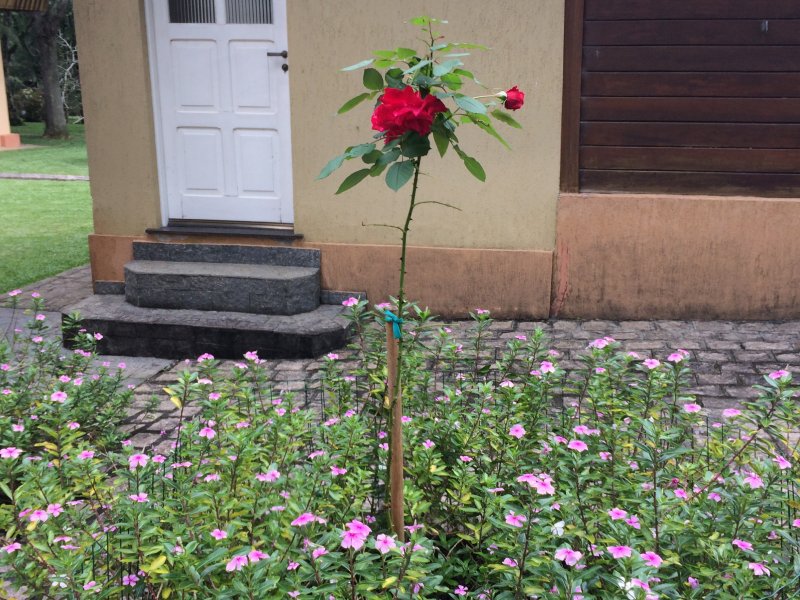 Casa de condomínio à venda Borda do Campo com 750m² e 4 quartos por R$ 1.750.000 - 1721129081-img-8611.JPG