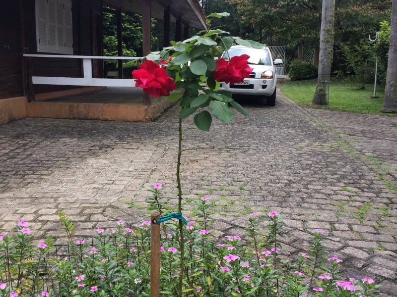 Casa de condomínio à venda Borda do Campo com 750m² e 4 quartos por R$ 1.750.000 - 361527961-img-8609.JPG