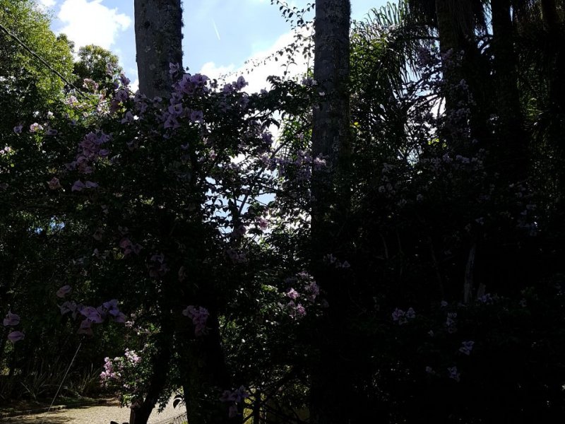 Casa de condomínio à venda Borda do Campo com 750m² e 4 quartos por R$ 1.750.000 - 744315696-6d1932da-ab79-4c2e-bb0e-87fa5264ea82.jpg