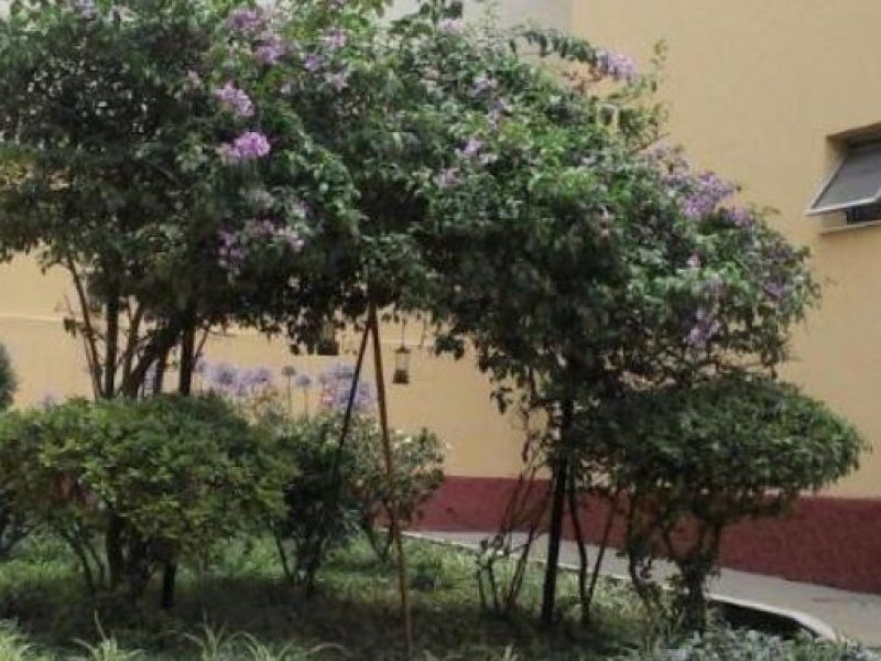 Apartamento à venda Assunção com 57m² e 2 quartos por R$ 270.000 - 1614120849-8.JPG