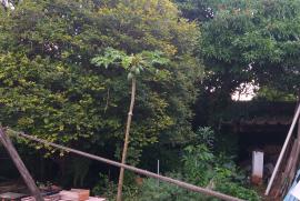 Terreno à venda Pinheiros com 372m² -  dormitórios -  vagas - R$ 3.200.000 - 974622232-20190520-164434.jpg
