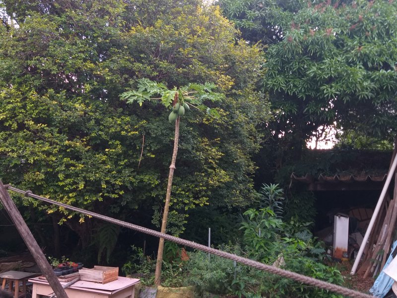 Terreno à venda Pinheiros com 372m² e  quartos por R$ 3.200.000 - 974622232-20190520-164434.jpg