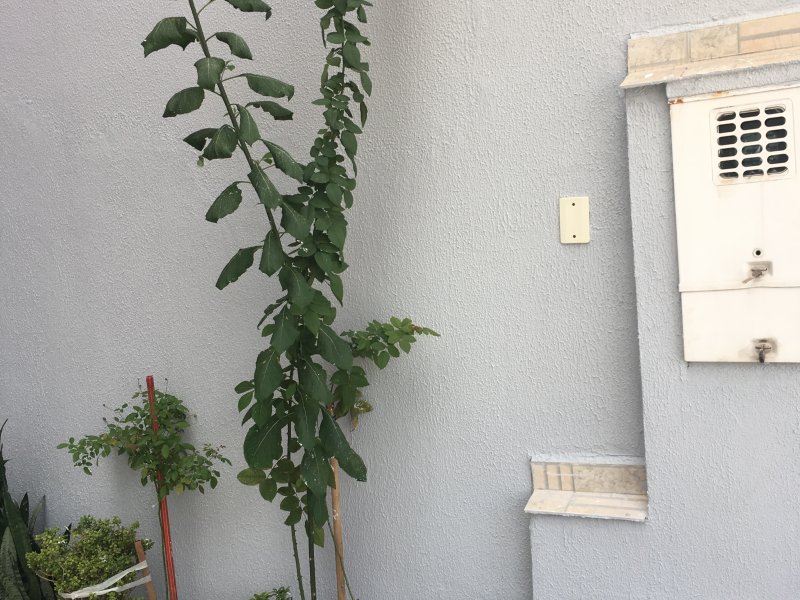 Sobrado à venda Vila Pires com 136m² e 3 quartos por R$ 499.000 - 421933856-de6f513c-90f4-4871-b7c6-fbb316c23588.jpeg