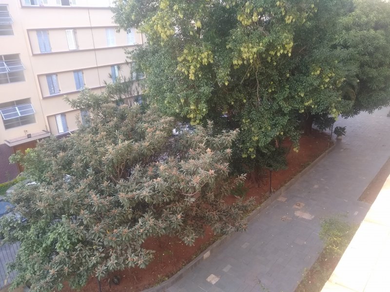 Apartamento à venda Cambuci com 92m² e 3 quartos por R$ 300.000 - 778590374-img-20190523-080755654.jpg