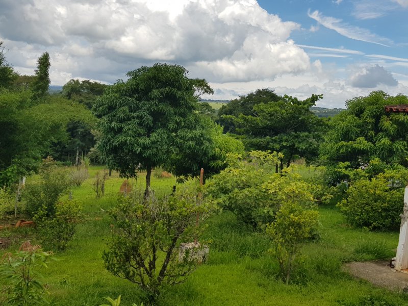 Sítio à venda Jardim São Lucas com 625m² e 3 quartos por R$ 990.000 - 791937821-20190120-1439201.jpg