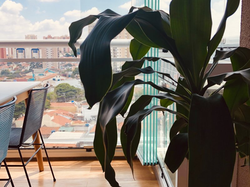 imóvel com 55m² - Vila Formosa - São Paulo