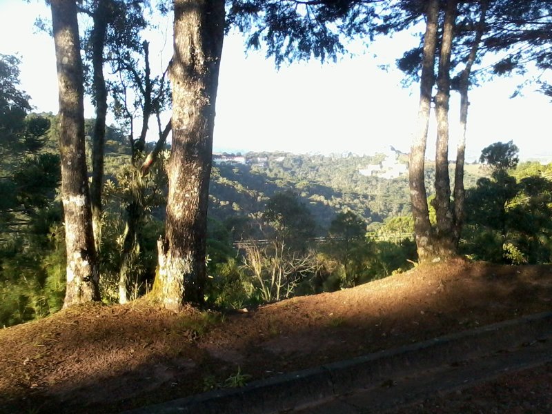 Terreno à venda Capivari com 1570m² e 1 quarto por R$ 320.000 - 92239166-2015-05-16-16.jpg