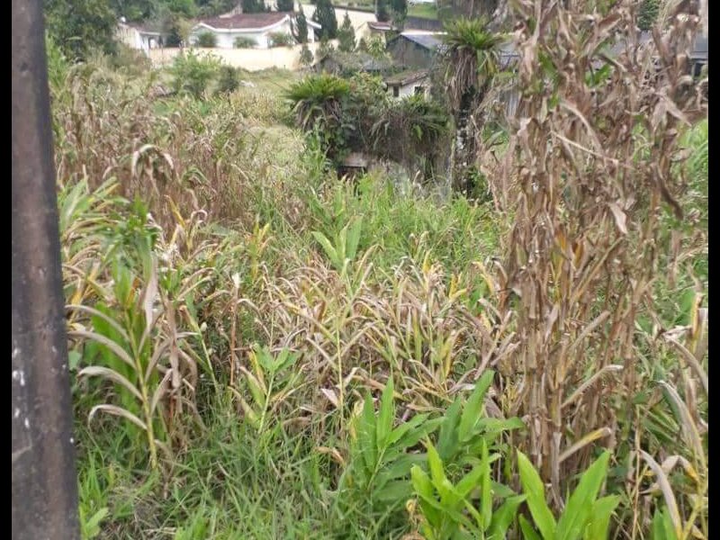 Terreno à venda centro com 386m² e  quartos por R$ 35.000 - 885502373-received-278122039653994.jpeg