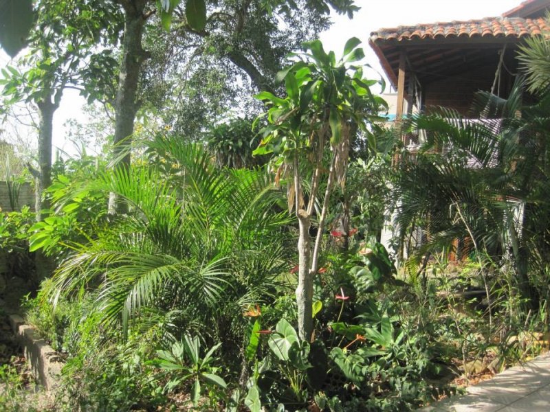 imóvel com 1m² - Santinho - Florianópolis