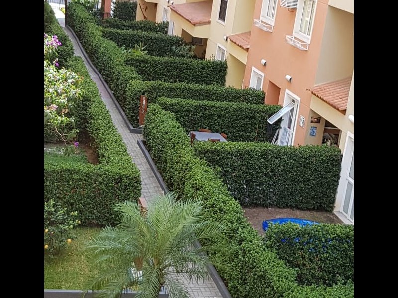Apartamento à venda Jacarepaguá com 90m² e 2 quartos por R$ 390.000 - 1235171806-whatsapp-image-2019-03-08-at-13.jpeg