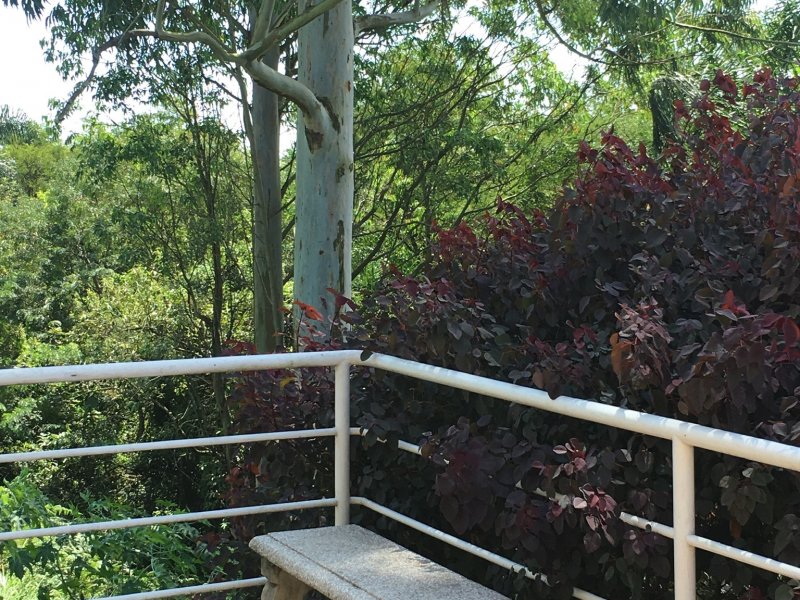 Apartamento à venda Parque Monjolo com 10006m² e 3 quartos por R$ 1.800.000 - 1188893330-47d4e2eb-9a4b-4d82-ac9d-3336a5b3ccff.jpeg