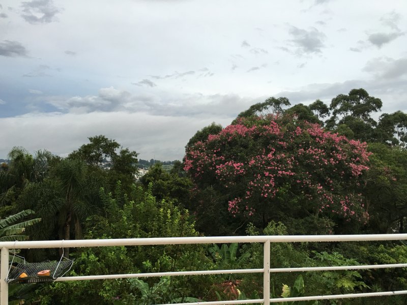 Apartamento à venda Parque Monjolo com 10006m² e 3 quartos por R$ 1.800.000 - 1425718317-abe1a192-7f9e-4b7a-acdd-a6d7f7d83cdb.jpeg