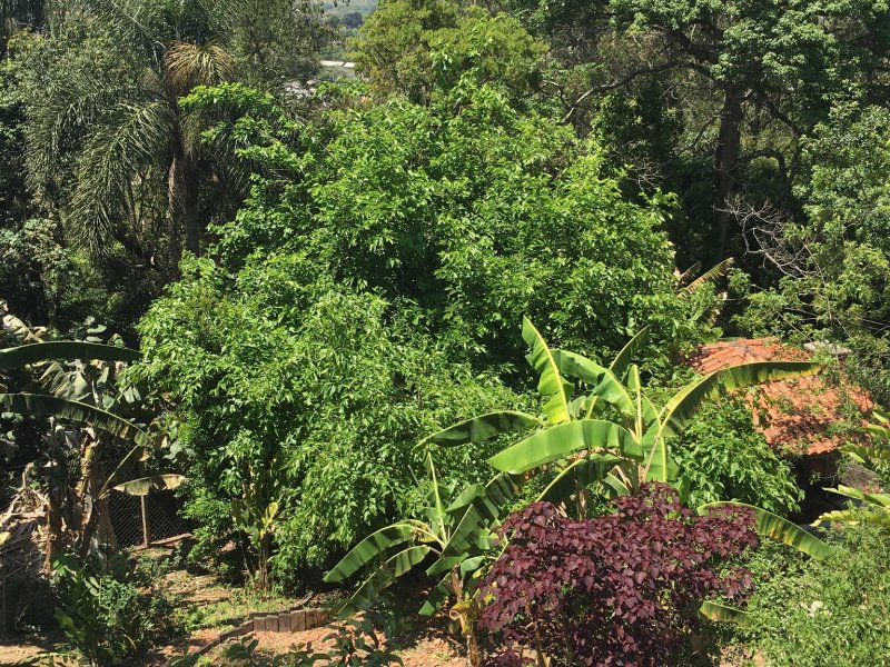 Apartamento à venda Parque Monjolo com 10006m² e 3 quartos por R$ 1.800.000 - 476327783-cd15effe-e757-4703-a050-1990cd1dff6c.jpeg
