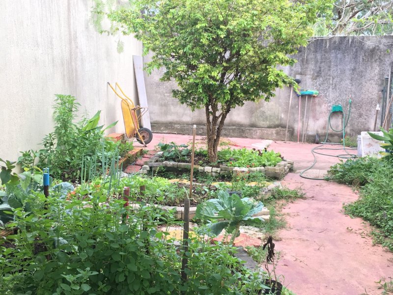 Apartamento à venda Parque Monjolo com 10006m² e 3 quartos por R$ 1.800.000 - 505976881-d03d99d4-67a1-4499-96cb-86a7b5a58a46.jpeg