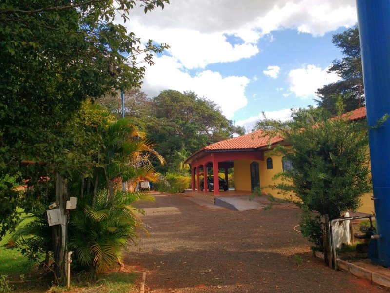 Chacara à venda Centro com 5367m² e 3 quartos por R$ 800.000 - 489786241-whatsapp-image-2019-06-09-at-09.jpeg