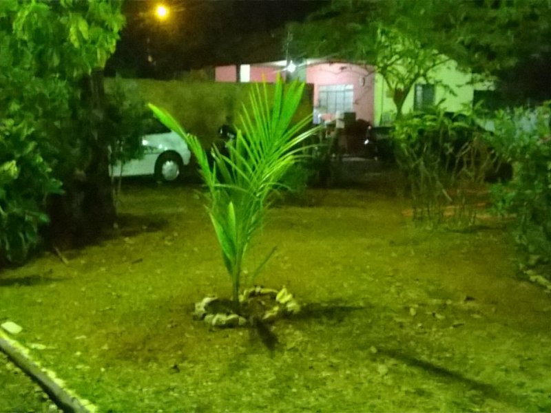 Chacara à venda Centro com 5367m² e 3 quartos por R$ 800.000 - 890500390-whatsapp-image-2019-06-09-at-09.jpeg