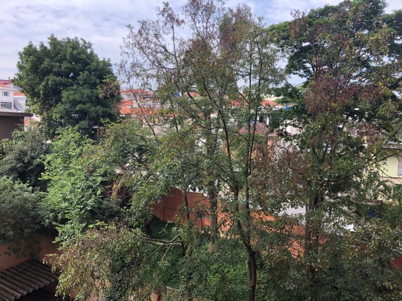 Apartamento à venda Vila Moraes com 60m² e 3 quartos por R$ 295.000 - 1234678232-photo-2019-05-11-11-18-38.jpg