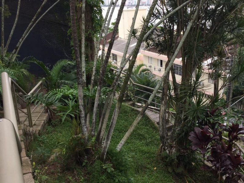 Casa à venda Ilha Porchat com 1300m² e 6 quartos por R$ 1.800.000 - 1269217587-15.jpeg