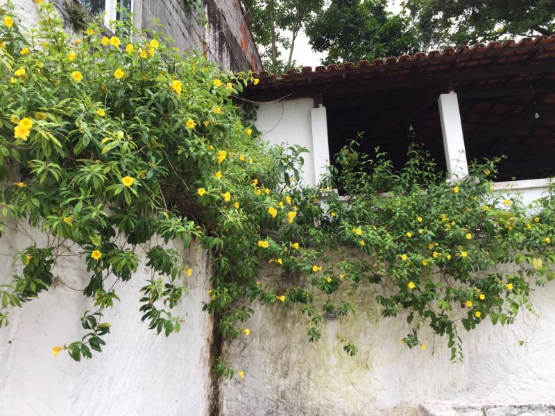 Casa à venda Ilha Porchat com 1300m² e 6 quartos por R$ 1.800.000 - 1708920999-45.jpeg