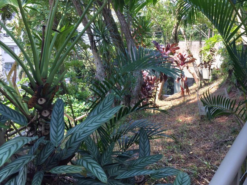 Casa à venda Ilha Porchat com 1300m² e 6 quartos por R$ 1.800.000 - 684924046-6.jpeg