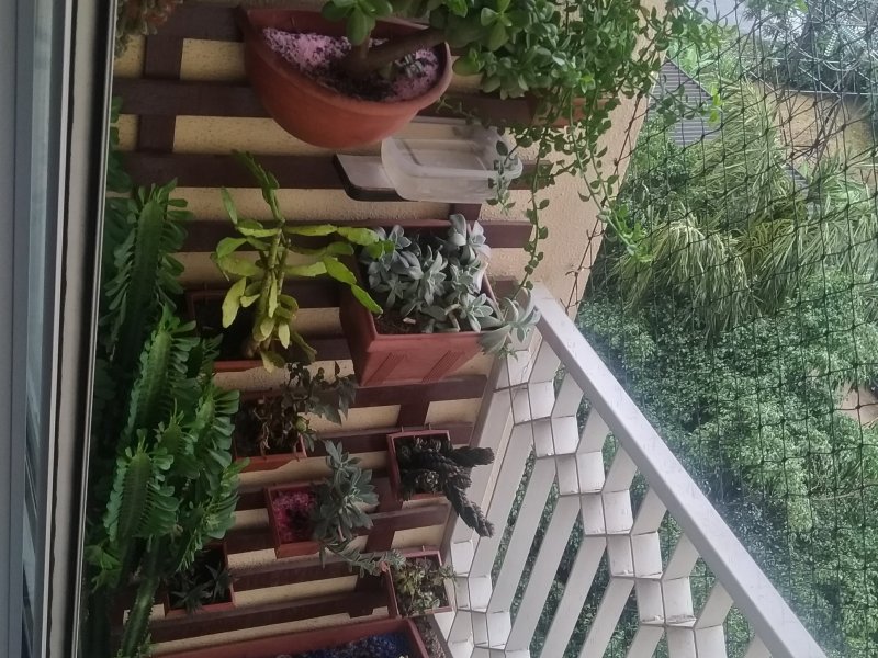 imóvel com 60m² - Sitio Pinheirinho - São Paulo
