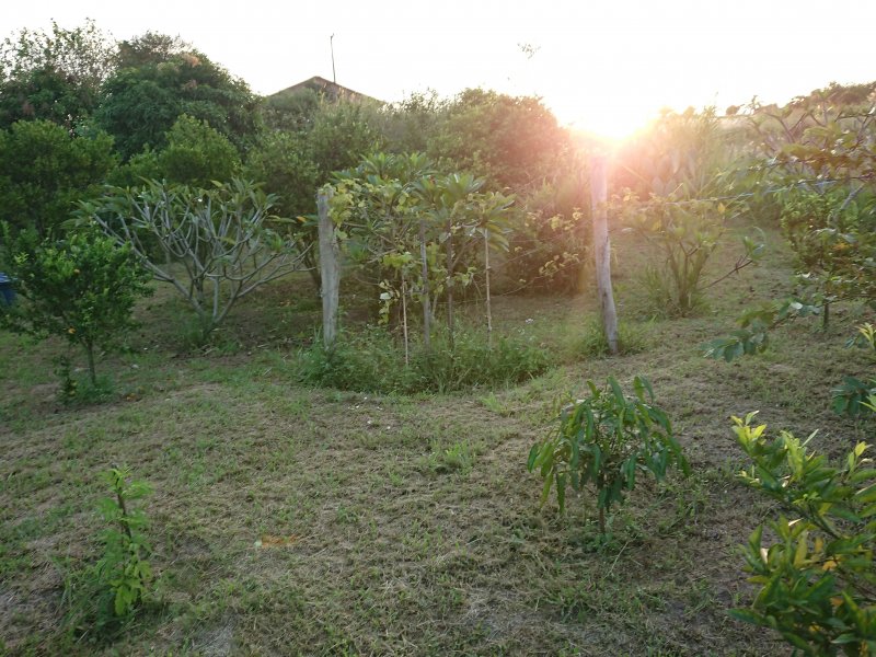 Chácara à venda CENTRO com 4500m² e 4 quartos por R$ 488.000 - 1632623058-dsc-1792.jpg