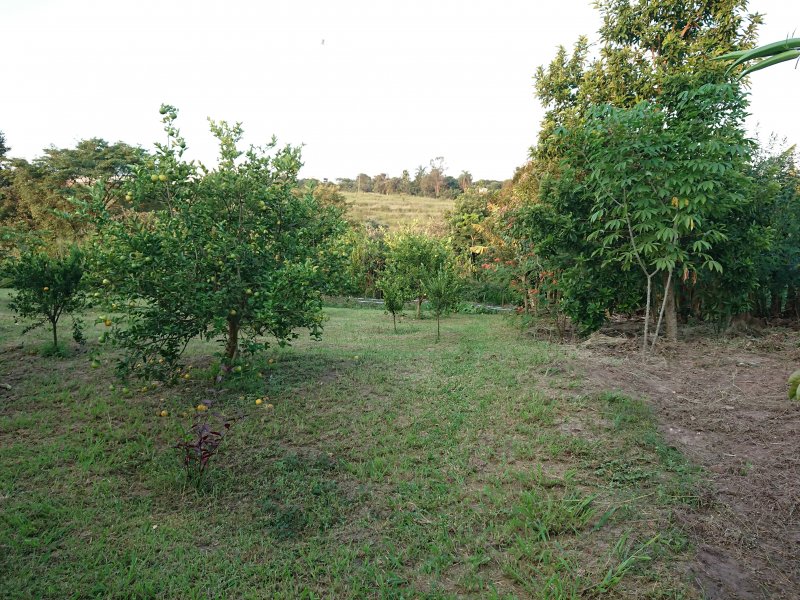 Chácara à venda CENTRO com 4500m² e 4 quartos por R$ 488.000 - 221999952-dsc-1781.jpg