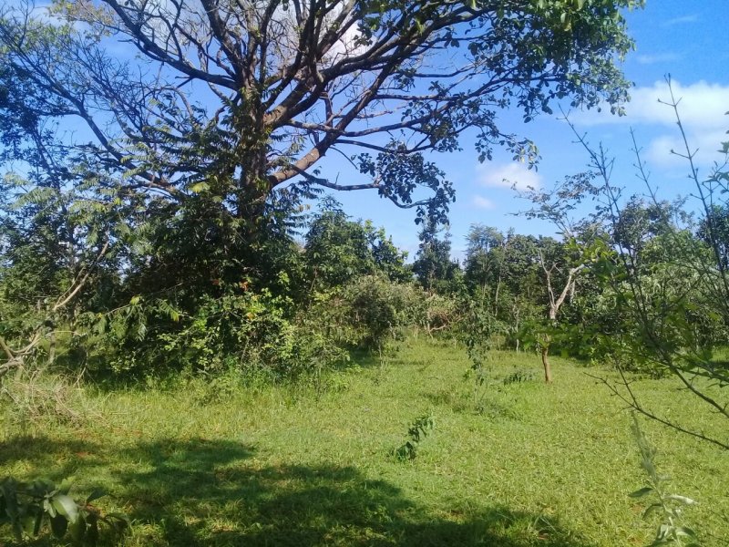 Chácara à venda Santo Antônio com 1000m² e 1 quarto por R$ 25.000 - 1247737157-img-20190611-wa0018.jpg