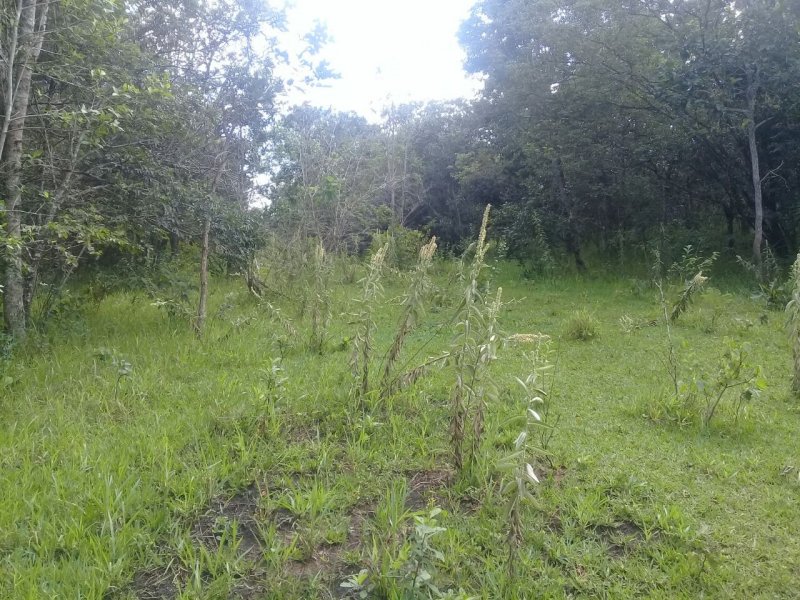 Chácara à venda Santo Antônio com 1000m² e 1 quarto por R$ 25.000 - 253851398-img-20190611-wa0017.jpg