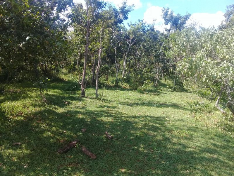 Chácara à venda Santo Antônio com 1000m² e 1 quarto por R$ 25.000 - 834926159-img-20190611-wa0016.jpg
