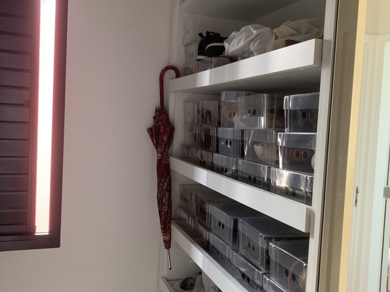 Apartamento à venda Pinheiros com 84m² e 2 quartos por R$ 1.000.000 - 2141104519-b7c3e0b0-fbc2-4aff-ab78-3471d09cb7c3.jpeg