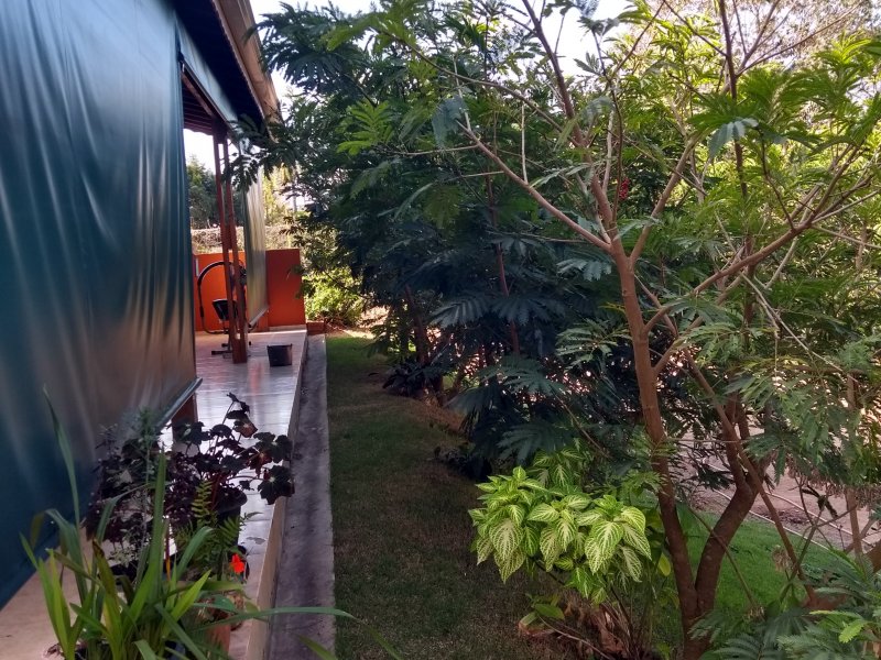 Apartamento à venda Fazenda Marajoara com 256m² e 4 quartos por R$ 490.000 - 260438184-foto-externa-fundos-casa-campo-verde.jpg
