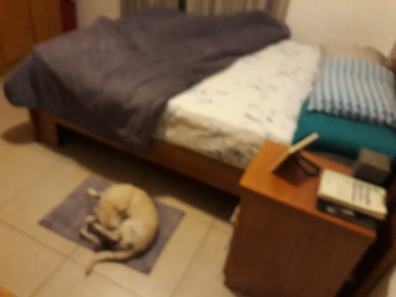Apartamento à venda Vila Mussolini com 69m² e 2 quartos por R$ 300.000 - 2030547775-20190429-2153131.jpg