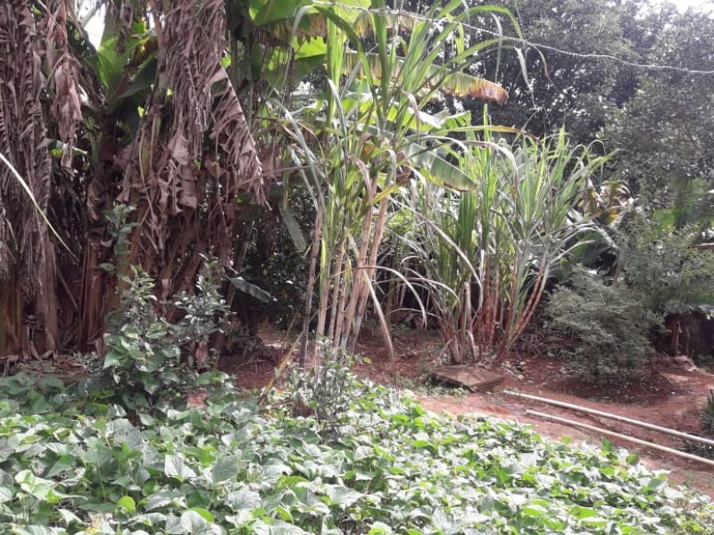 imóvel com 1000m² - rio de una - Ibiúna