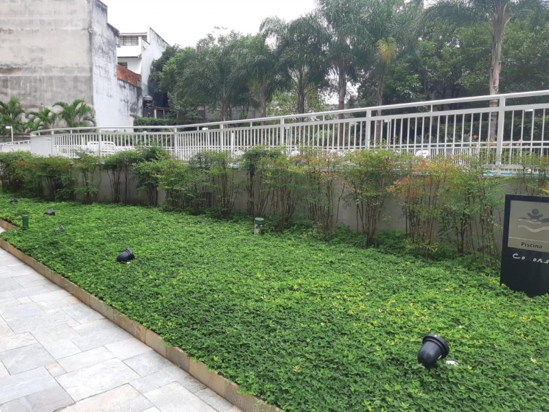 Apartamento à venda Bela Aliança com 50m² e 2 quartos por R$ 480.000 - 1081256789-thumbnail-20190407-124802.jpg