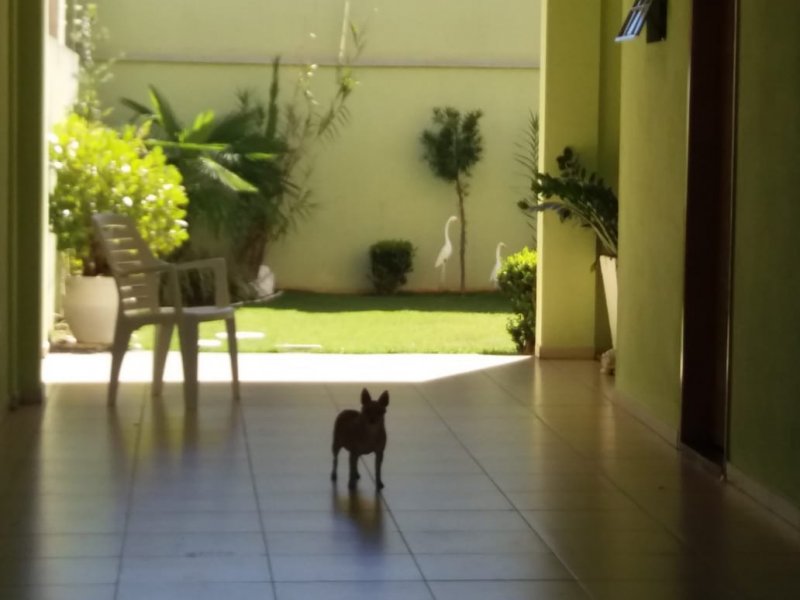 Comercial à venda Vivendas do arvoredo  com 250m² e  quartos por R$ 550.000 - 1623603096-img-20190619-wa0020.jpg